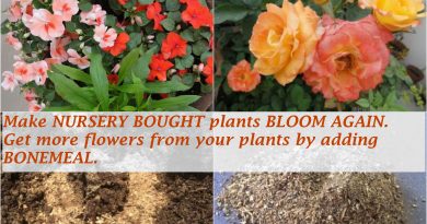 get more flowers bonemeal organic fertilzer