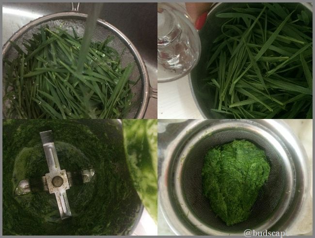 HOW TO MAKE WHEATGRASS JUICE AT HOME