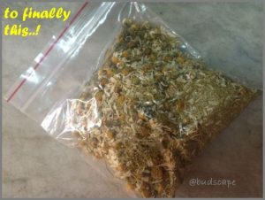 store chamomile flowers home