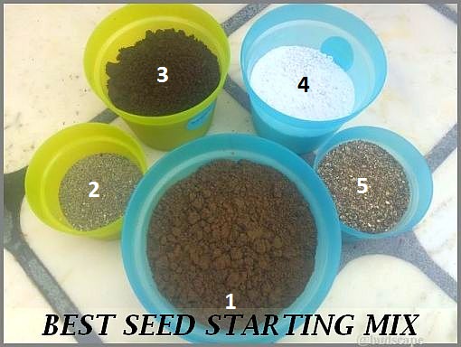 BEST DIY SEED STARTING MIX GARDENING FOR BEGINNERS best-diy-seed-starting-mix-gardening-for-beginners