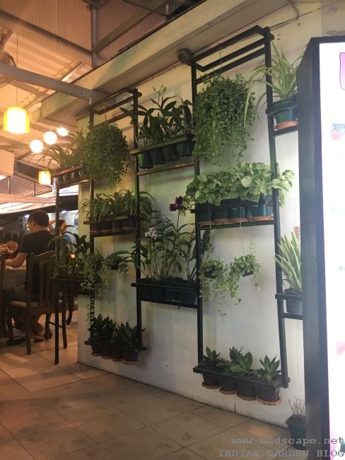 wall planter ideas
