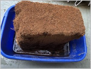 how use coco peat plants