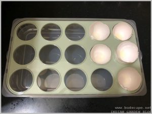 start-seeds-eggshells
