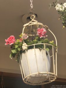 hanging-baskets-petunia-double