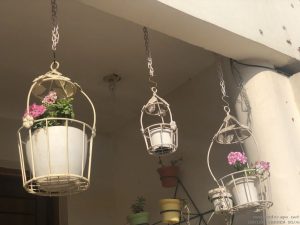 hanging-birdcage-flower-pots