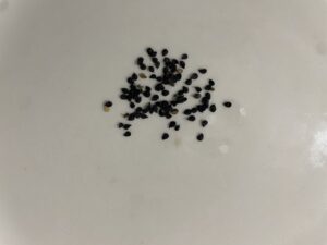 what do dianthus seeds look like