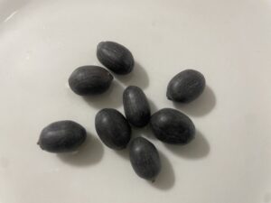 what do lotus seeds look like