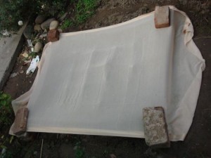 COVER SEEDS WITH CLOTH