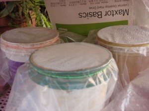 SOWING SEEDS PLASTIC CONTAINER