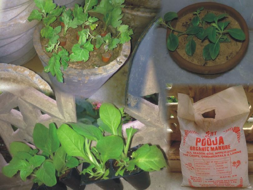 Here’s my lil bag of excitement..