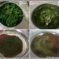 MAKE PEST SPRAY AT HOME
