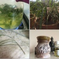 LEMONGRASS USES AND BENEFITS