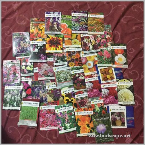 BUYING SEEDS ONLINE IN INDIA