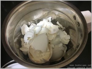 make eggshell organic fertilizer
