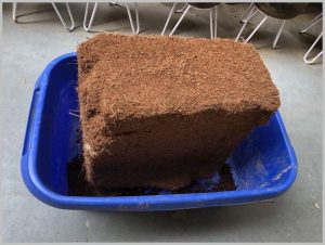 coco peat brick