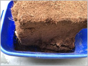 coco peat compressed brick