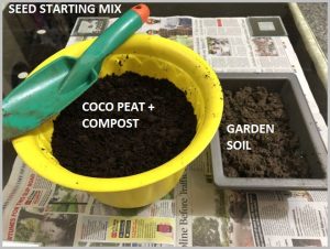 coco peat seeds start mix