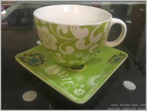 teacup planter indoors