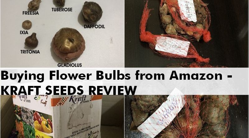 buy flower bulbs online india kraft review