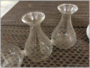 vase-grow-bulbs-water-indoors