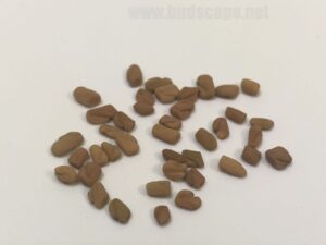 what do fenugreek methi seeds look like