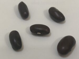 what do French beans seeds look like