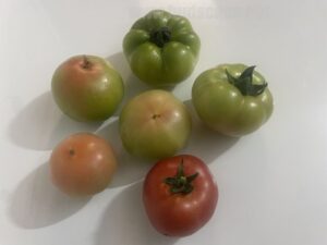 grow-tomato-varieties-home