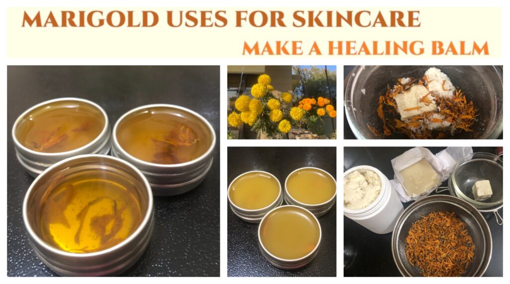 DIY MARIGOLD HEALING BALM