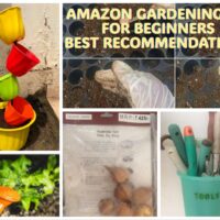 buy-gardening-products-online-india-amazon