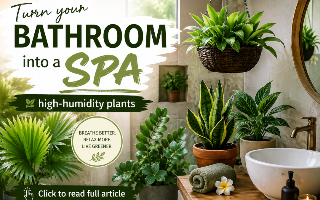 Which plants can grow in the bathroom?  Thriving in high humidity & low-light.